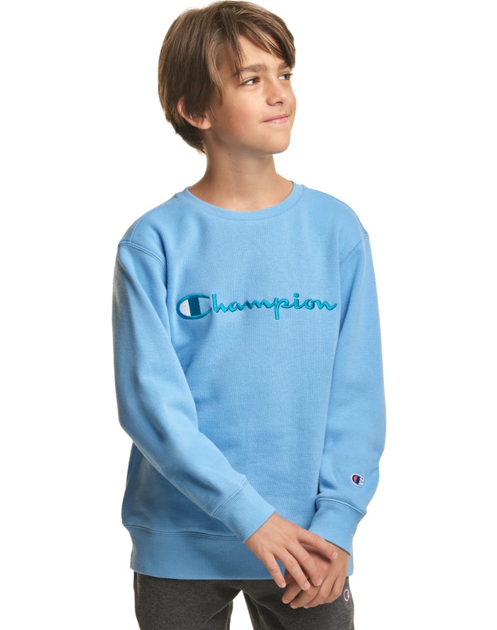 Champion Drenge Sweatshirt Blå - Fleece Crew Embroidered Logo - Danmark SNQ-423016